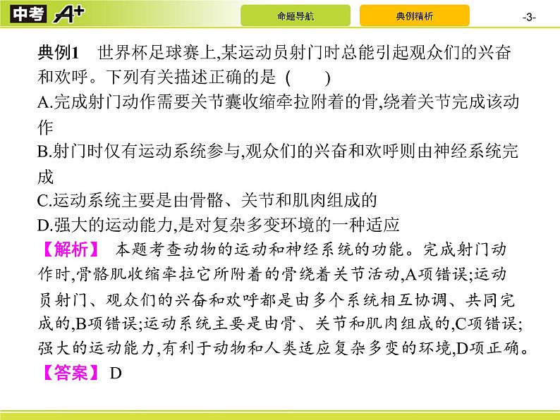 初中生物中考复习 专题6　动物的运动和行为课件PPT第3页