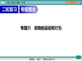 初中生物中考复习 专题06动物的运动和行为（上课用课件）-【过专题】2022年中考生物二轮精准高效复习