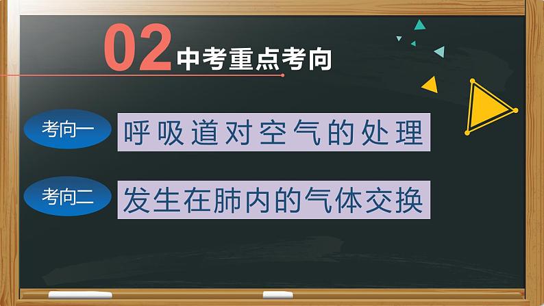 初中生物中考复习 专题07 人体的呼吸- 【备考无忧】2022年中考生物复习核心考点复习精优课件第4页