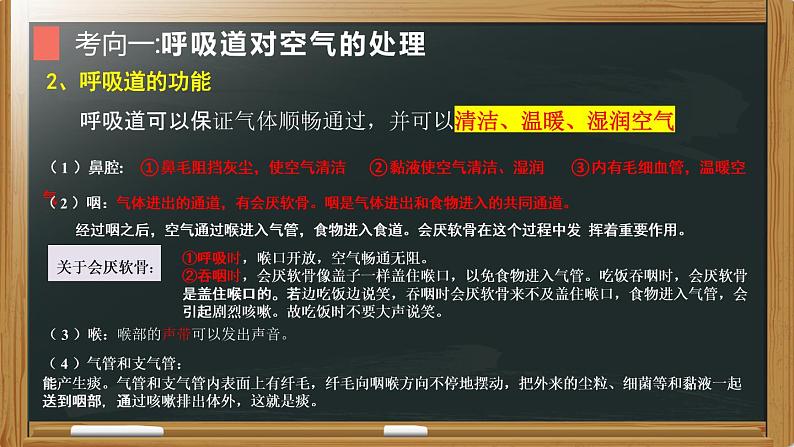 初中生物中考复习 专题07 人体的呼吸- 【备考无忧】2022年中考生物复习核心考点复习精优课件第6页