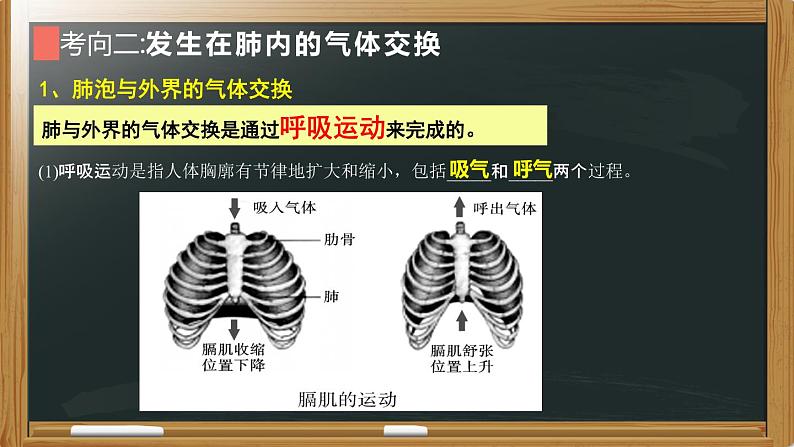 初中生物中考复习 专题07 人体的呼吸- 【备考无忧】2022年中考生物复习核心考点复习精优课件第8页