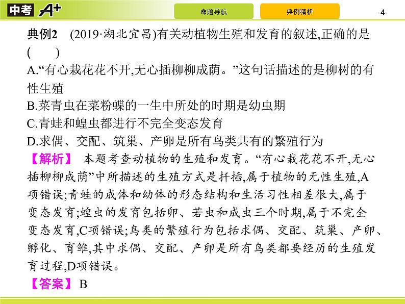 初中生物中考复习 专题7　生物的生殖、发育与遗传课件PPT第4页