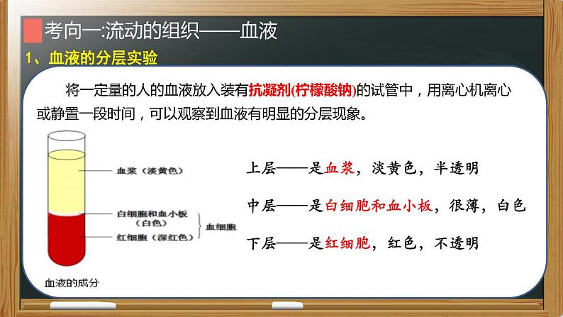 初中生物中考复习 专题08 人体内的物质运输- 【备考无忧】2022年中考生物复习核心考点复习精优课件05