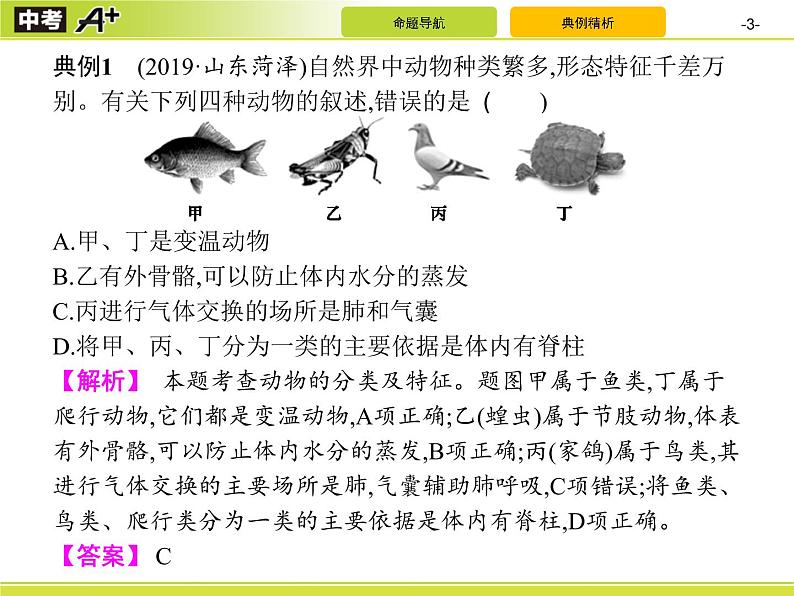 初中生物中考复习 专题8　生物的多样性课件PPT第3页