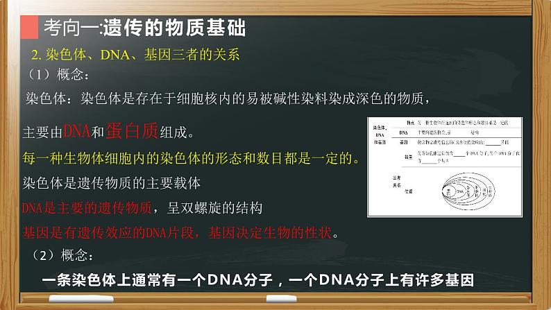 初中生物中考复习 专题12 生物的遗传和变异- 【备考无忧】2022年中考生物复习核心考点复习精优课件06