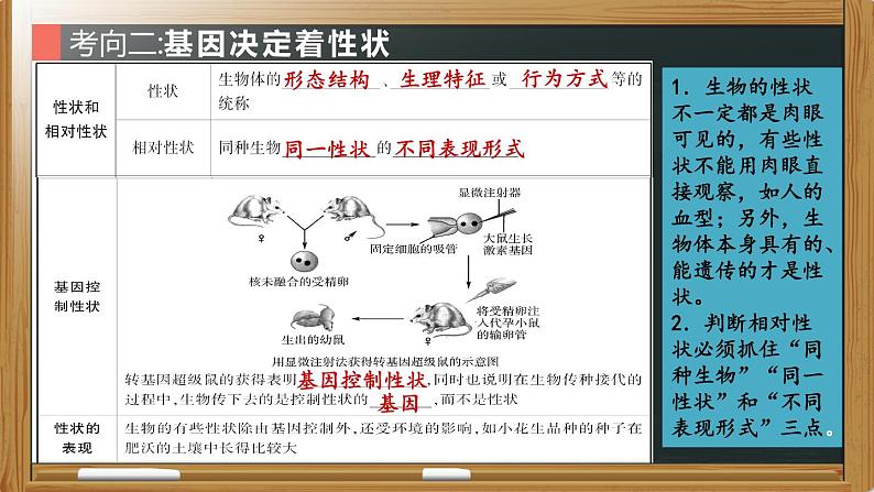 初中生物中考复习 专题12 生物的遗传和变异- 【备考无忧】2022年中考生物复习核心考点复习精优课件07