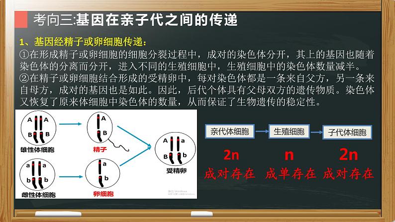 初中生物中考复习 专题12 生物的遗传和变异- 【备考无忧】2022年中考生物复习核心考点复习精优课件08