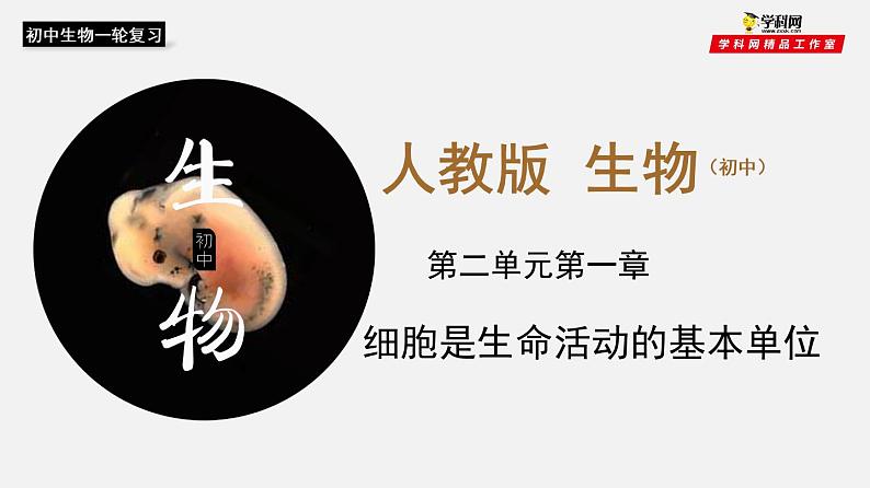 初中生物中考复习 专题02 细胞是生命活动的基本单位（课件）-2021年中考生物一轮复习讲练测01