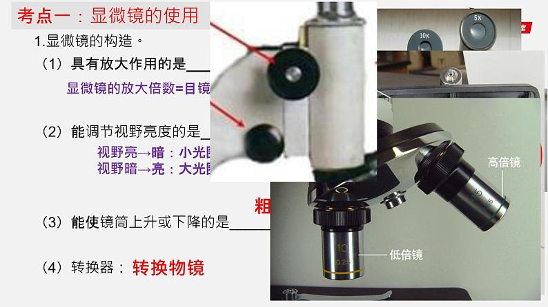 初中生物中考复习 专题02 细胞是生命活动的基本单位（课件）-2021年中考生物一轮复习讲练测04