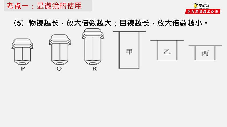 初中生物中考复习 专题02 细胞是生命活动的基本单位（课件）-2021年中考生物一轮复习讲练测05