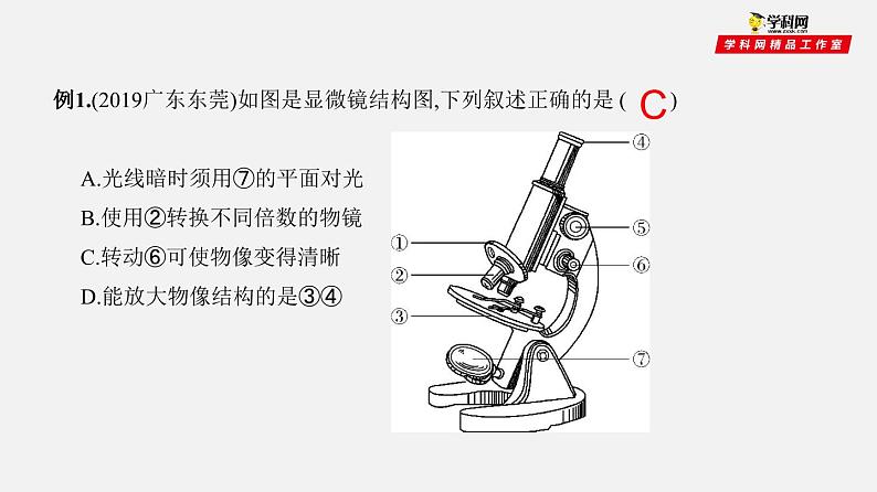 初中生物中考复习 专题02 细胞是生命活动的基本单位（课件）-2021年中考生物一轮复习讲练测06