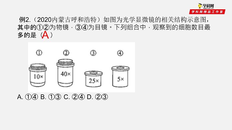 初中生物中考复习 专题02 细胞是生命活动的基本单位（课件）-2021年中考生物一轮复习讲练测07