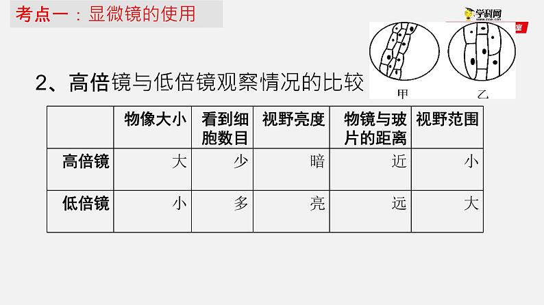 初中生物中考复习 专题02 细胞是生命活动的基本单位（课件）-2021年中考生物一轮复习讲练测08