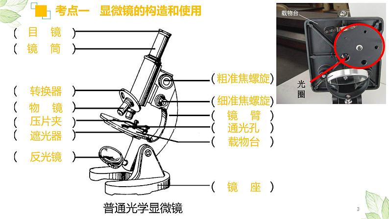 初中生物中考复习 专题02 细胞是生命活动的基本单位（上课用课件）-【过一轮】2022年中考生物一轮复习课件精讲与习题精练第3页