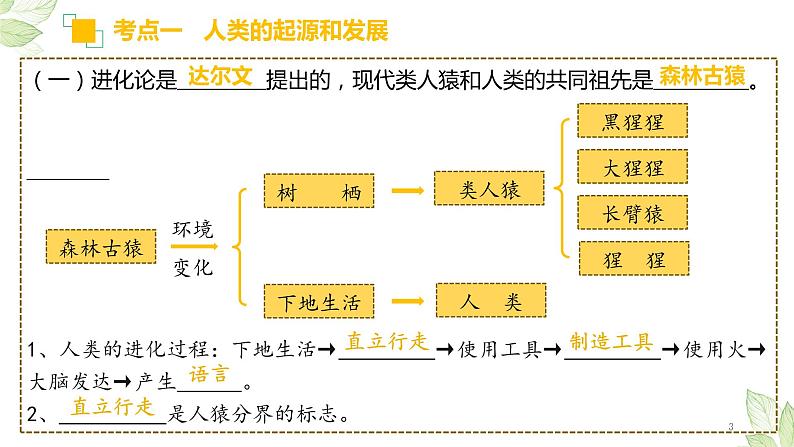 初中生物中考复习 专题09 人的由来（上课用课件）-【过一轮】2022年中考生物一轮复习课件精讲与习题精练03