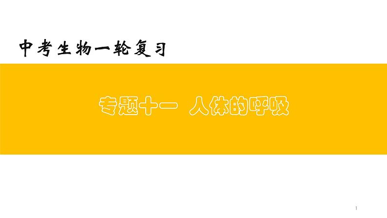 初中生物中考复习 专题11 人体的呼吸（上课用课件）-【过一轮】2022年中考生物一轮复习课件精讲与习题精练第1页