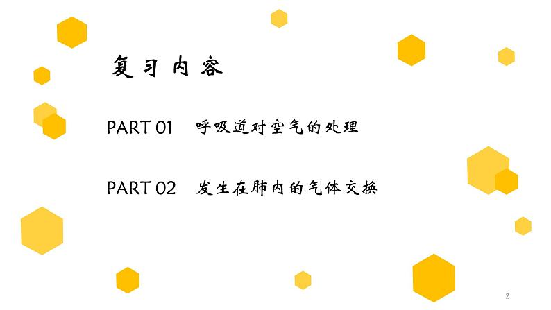 初中生物中考复习 专题11 人体的呼吸（上课用课件）-【过一轮】2022年中考生物一轮复习课件精讲与习题精练第2页