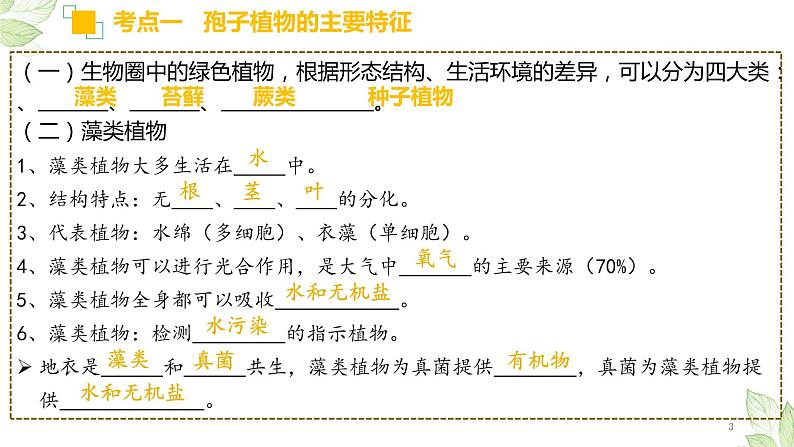 初中生物中考复习 专题04 生物圈中有哪些绿色植物（上课用课件）-【过一轮】2022年中考生物一轮复习课件精讲与习题精练第3页