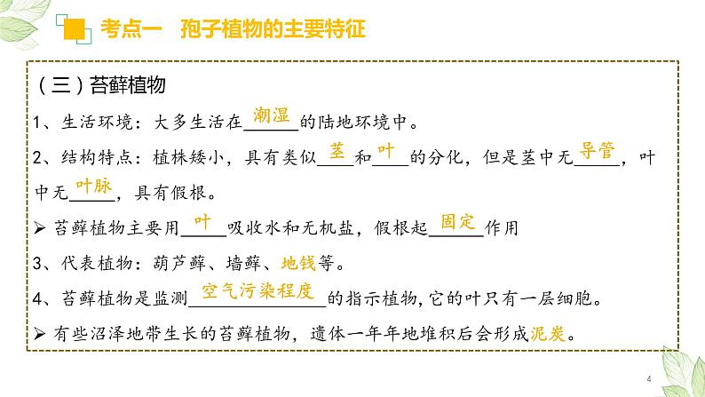 初中生物中考复习 专题04 生物圈中有哪些绿色植物（上课用课件）-【过一轮】2022年中考生物一轮复习课件精讲与习题精练第4页