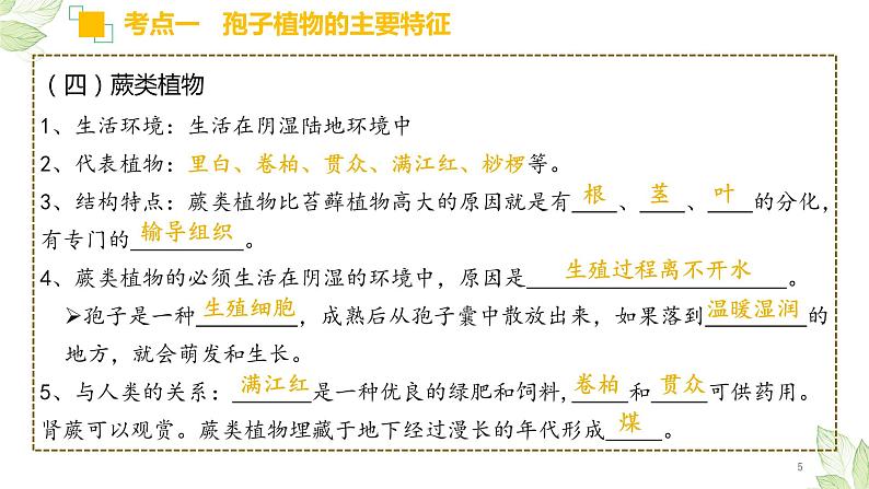 初中生物中考复习 专题04 生物圈中有哪些绿色植物（上课用课件）-【过一轮】2022年中考生物一轮复习课件精讲与习题精练第5页