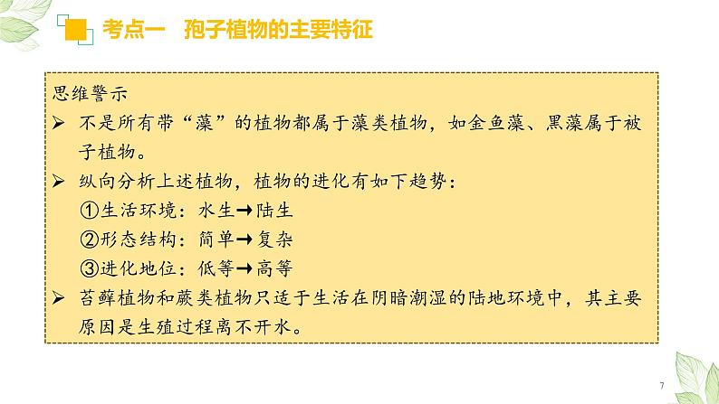 初中生物中考复习 专题04 生物圈中有哪些绿色植物（上课用课件）-【过一轮】2022年中考生物一轮复习课件精讲与习题精练第7页