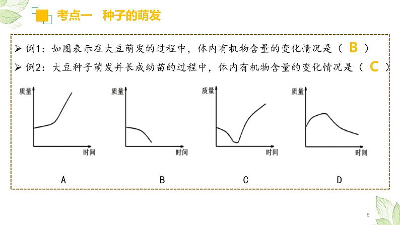 初中生物中考复习 专题05 被子植物的一生（上课用课件）-【过一轮】2022年中考生物一轮复习课件精讲与习题精练第5页