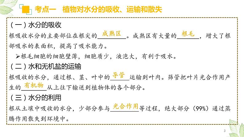 初中生物中考复习 专题06 绿色植物与生物圈的水循环（上课用课件）-【过一轮】2022年中考生物一轮复习课件精讲与习题精练03