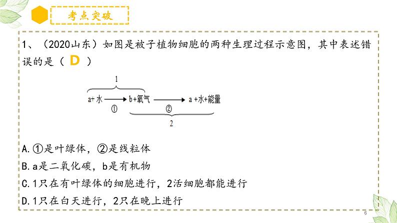 初中生物中考复习 专题08 绿色植物的呼吸作用（上课用课件）-【过一轮】2022年中考生物一轮复习课件精讲与习题精练06