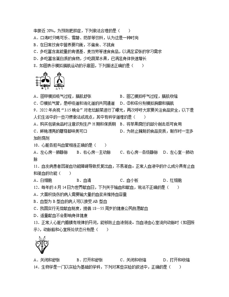 2022-2023学年广东省茂名市七年级上册期末生物提升模拟（AB卷）含解析第2页