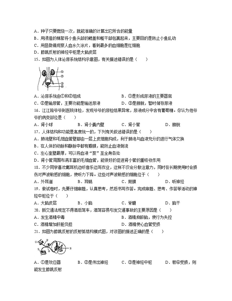 2022-2023学年广东省茂名市七年级上册期末生物提升模拟（AB卷）含解析第3页