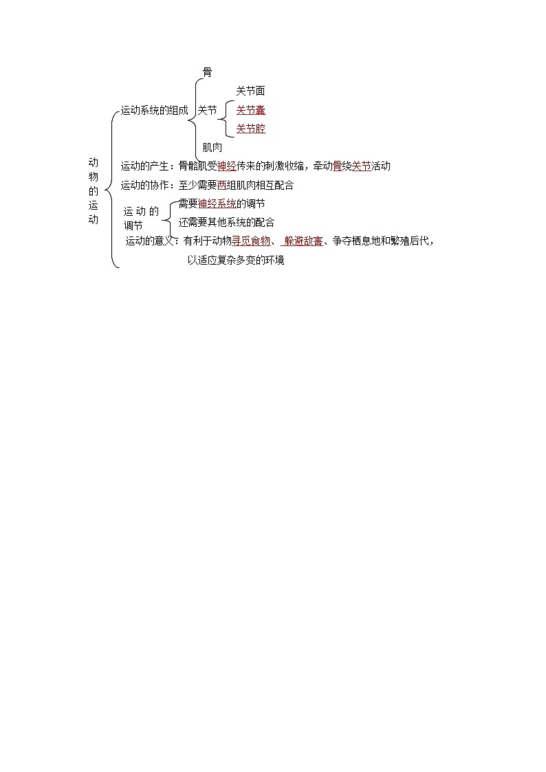 第一节 动物的运动-八年级生物同步精品讲义（人教版八年级上册）03
