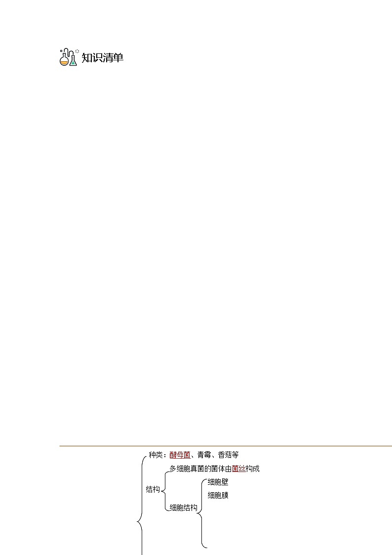 第三节  真菌-八年级生物同步精品讲义（人教版八年级上册）03