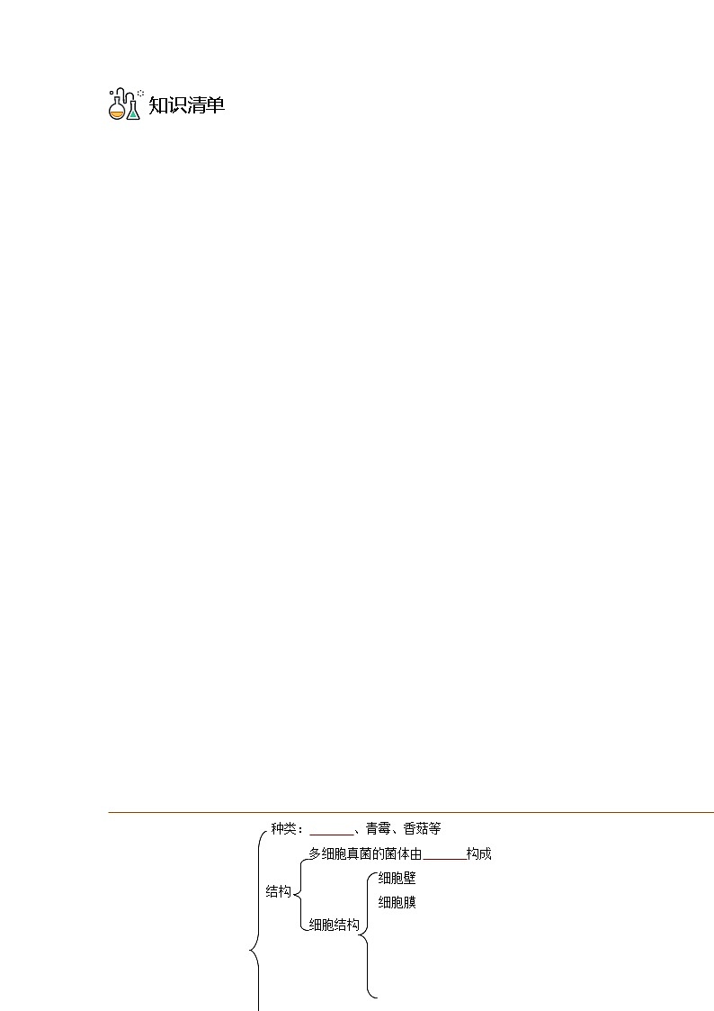 第三节  真菌-八年级生物同步精品讲义（人教版八年级上册）03