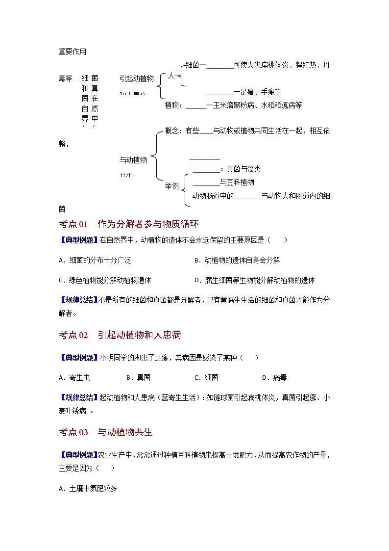第四节  细菌和真菌在自然界中的作用-八年级生物同步精品讲义（人教版八年级上册）03