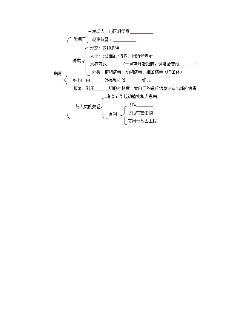 第五章  病毒（学生版）第3页