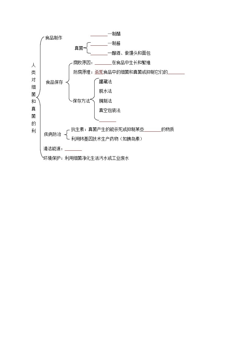 第五节  人类对细菌和真菌的利用（学生版）第3页