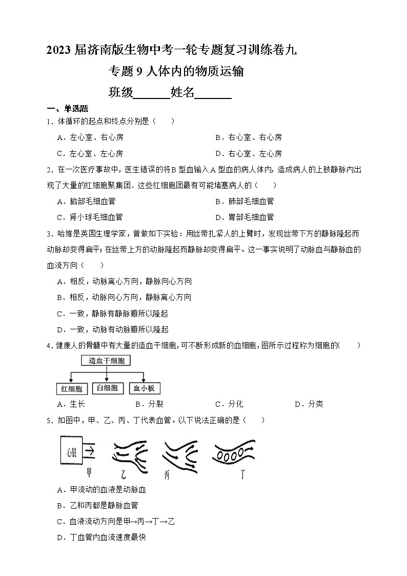 【中考一轮复习】2023年中考生物济南版复习训练卷九   专题9人体内的物质运输（含解析）第1页