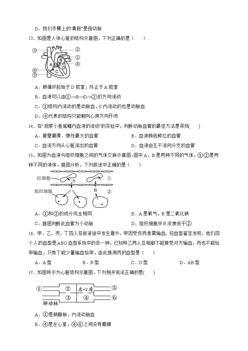 【中考一轮复习】2023年中考生物济南版复习训练卷九   专题9人体内的物质运输（含解析）第3页