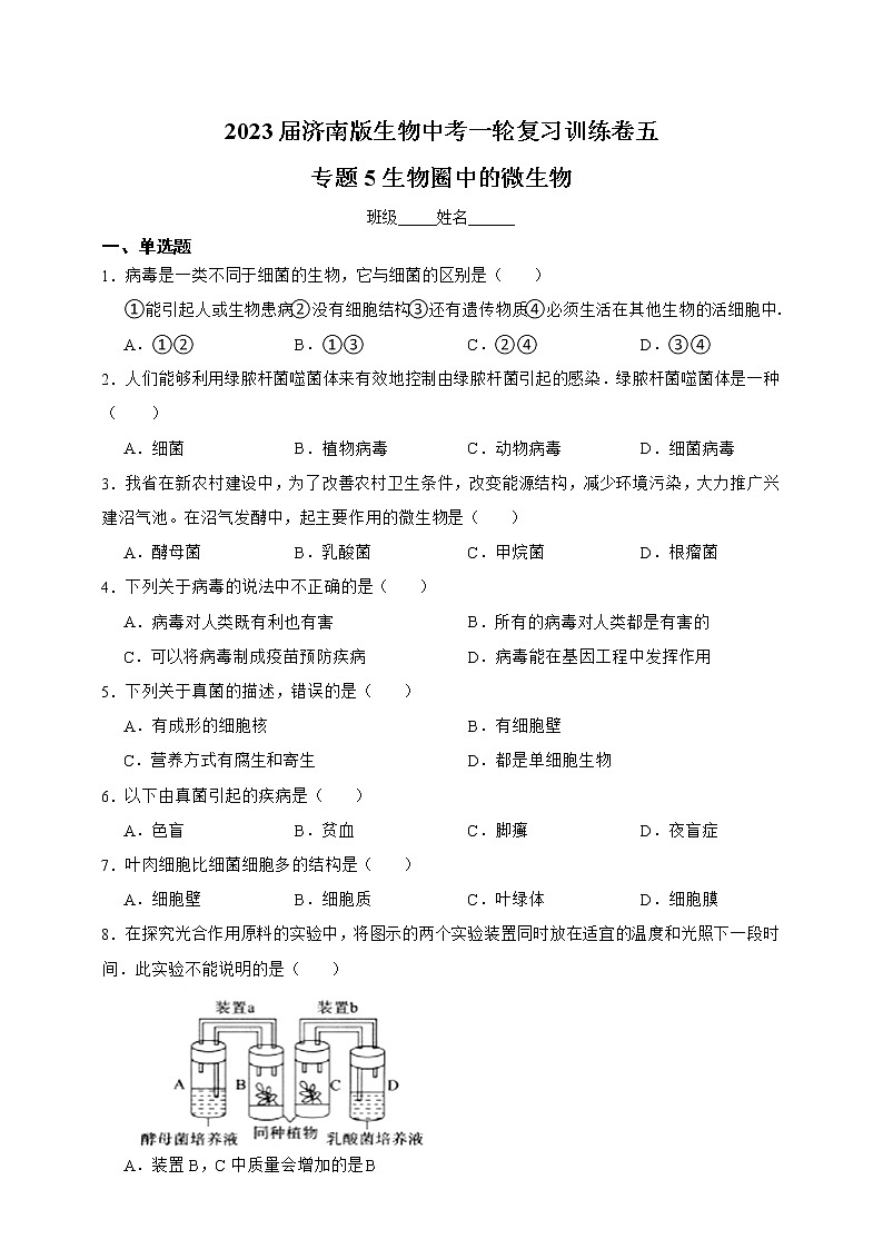 【中考一轮复习】2023年中考生物济南版复习训练卷五  专题5生物圈中的微生物（含解析）01