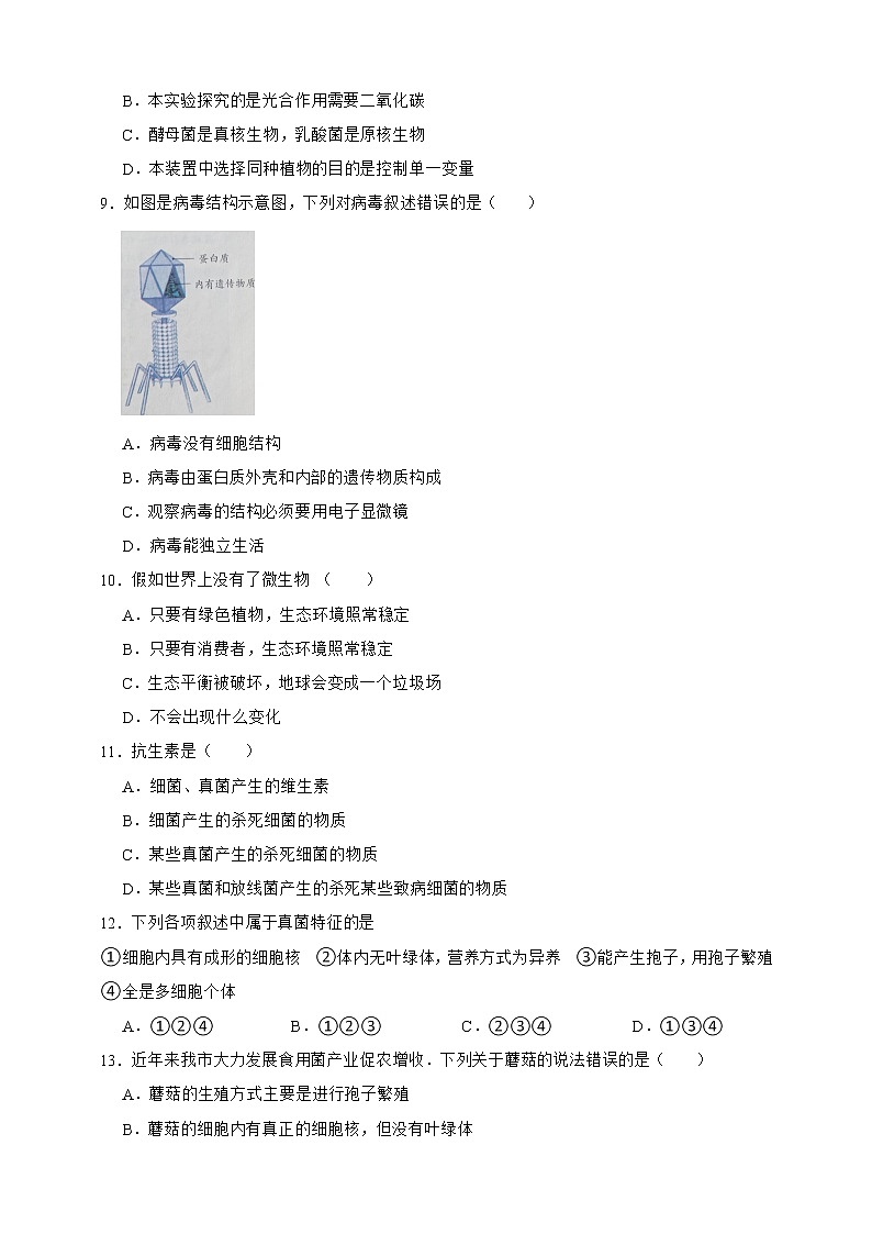【中考一轮复习】2023年中考生物济南版复习训练卷五  专题5生物圈中的微生物（含解析）02