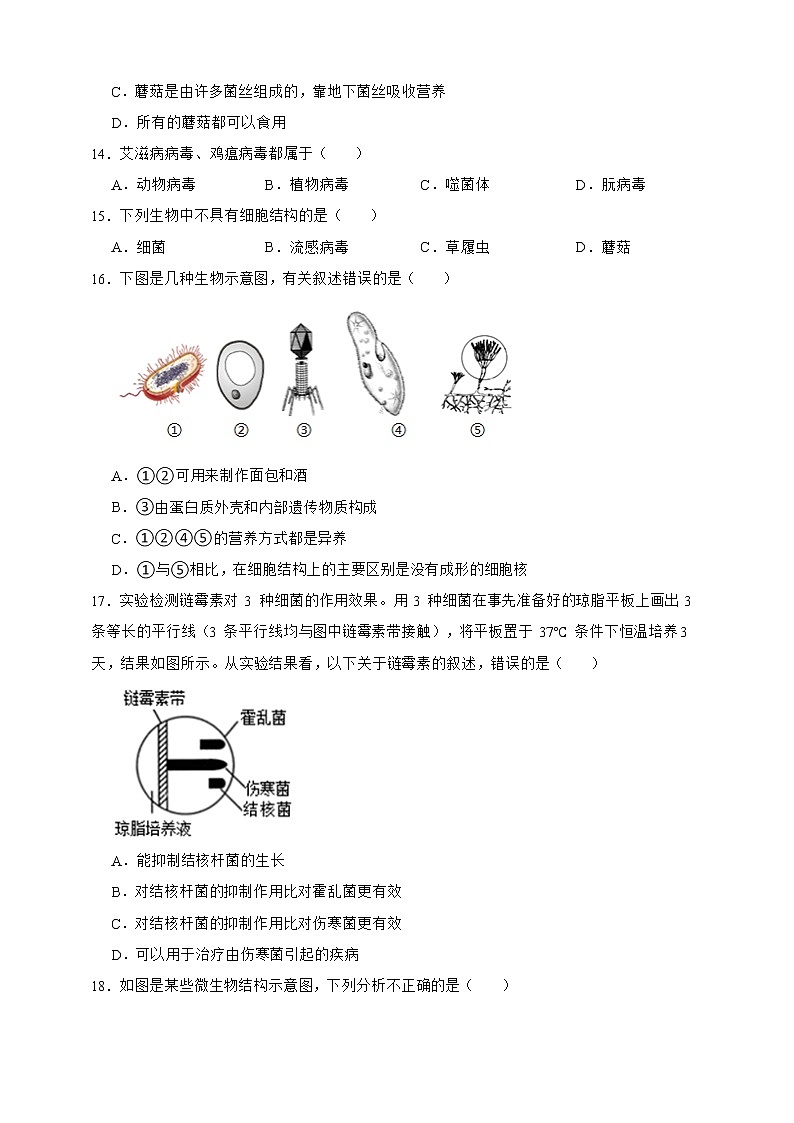 【中考一轮复习】2023年中考生物济南版复习训练卷五  专题5生物圈中的微生物（含解析）03