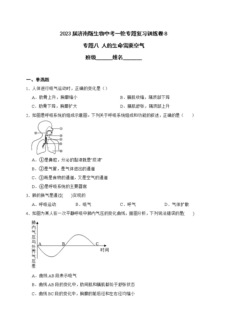 【中考一轮复习】2023年中考生物济南版复习训练卷八   专题8 人的生活需要空气（含解析）01