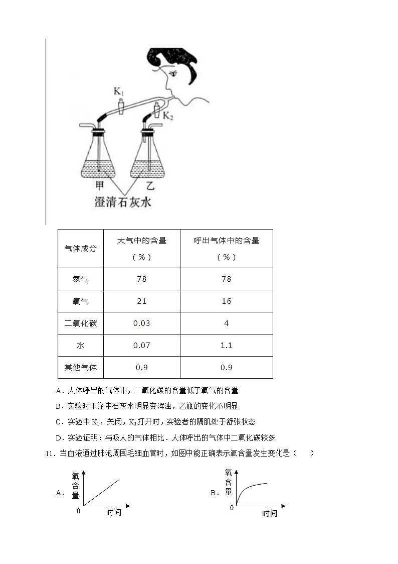 【中考一轮复习】2023年中考生物济南版复习训练卷八   专题8 人的生活需要空气（含解析）03