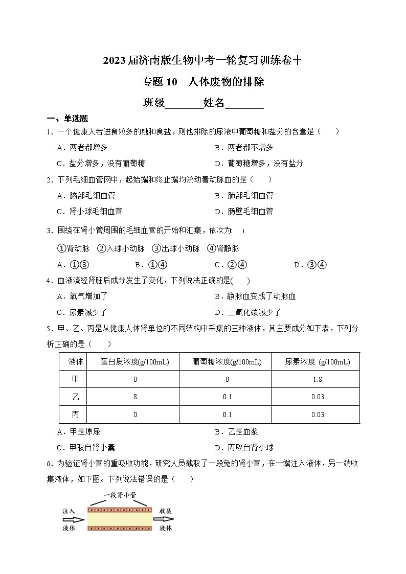 【中考一轮复习】2023年中考生物济南版复习训练卷六  专题6   生物的分类（含解析）01
