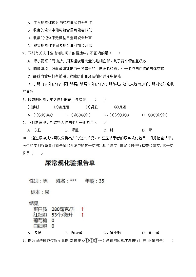 【中考一轮复习】2023年中考生物济南版复习训练卷六  专题6   生物的分类（含解析）02