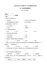 【中考一轮复习】2023年生物人教版专用训练卷——专题14 人体内废物的排出（ 含解析）