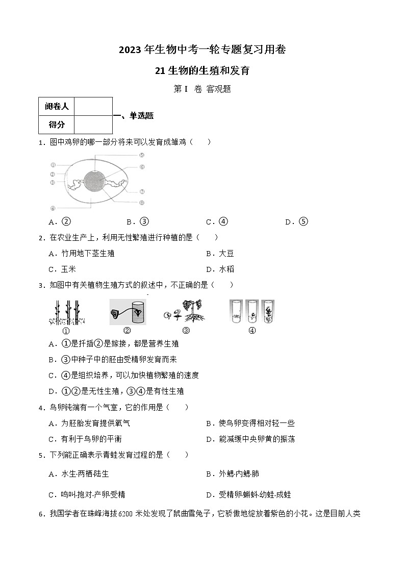 【中考一轮复习】2023年生物人教版专用训练卷——专题21 生物的生殖和发育（含解析）第1页