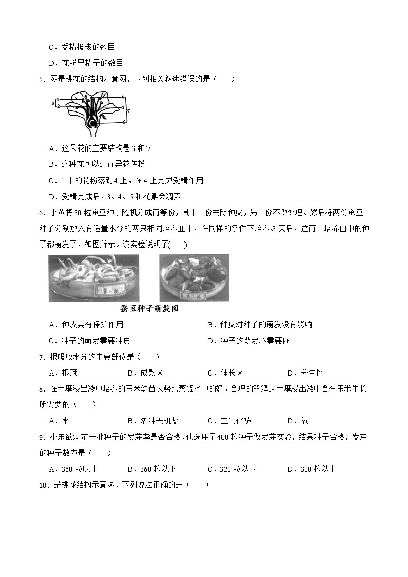 【中考一轮复习】2023年生物人教版专用训练卷——专题6 被子植物的一生（ 含解析）02