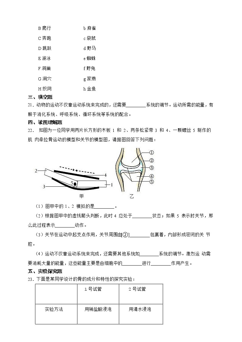 【中考一轮复习】2023冀教版生物中考一轮复习训练卷四   专题4 多种多样的动物（含解析）03