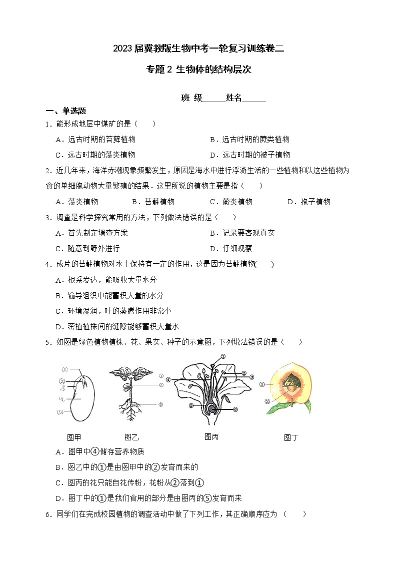 【中考一轮复习】2023年生物中考冀教版复习训练卷七   专题7 爱护心脏 确保运输（含解析）第1页